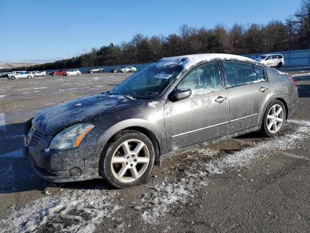 NISSAN NULL 2006 1n4ba41e96c842484