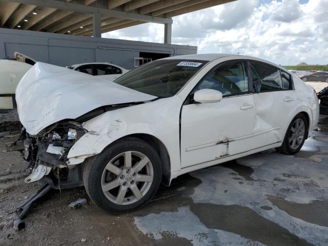 NISSAN MAXIMA SE 2006 1n4ba41e96c848592