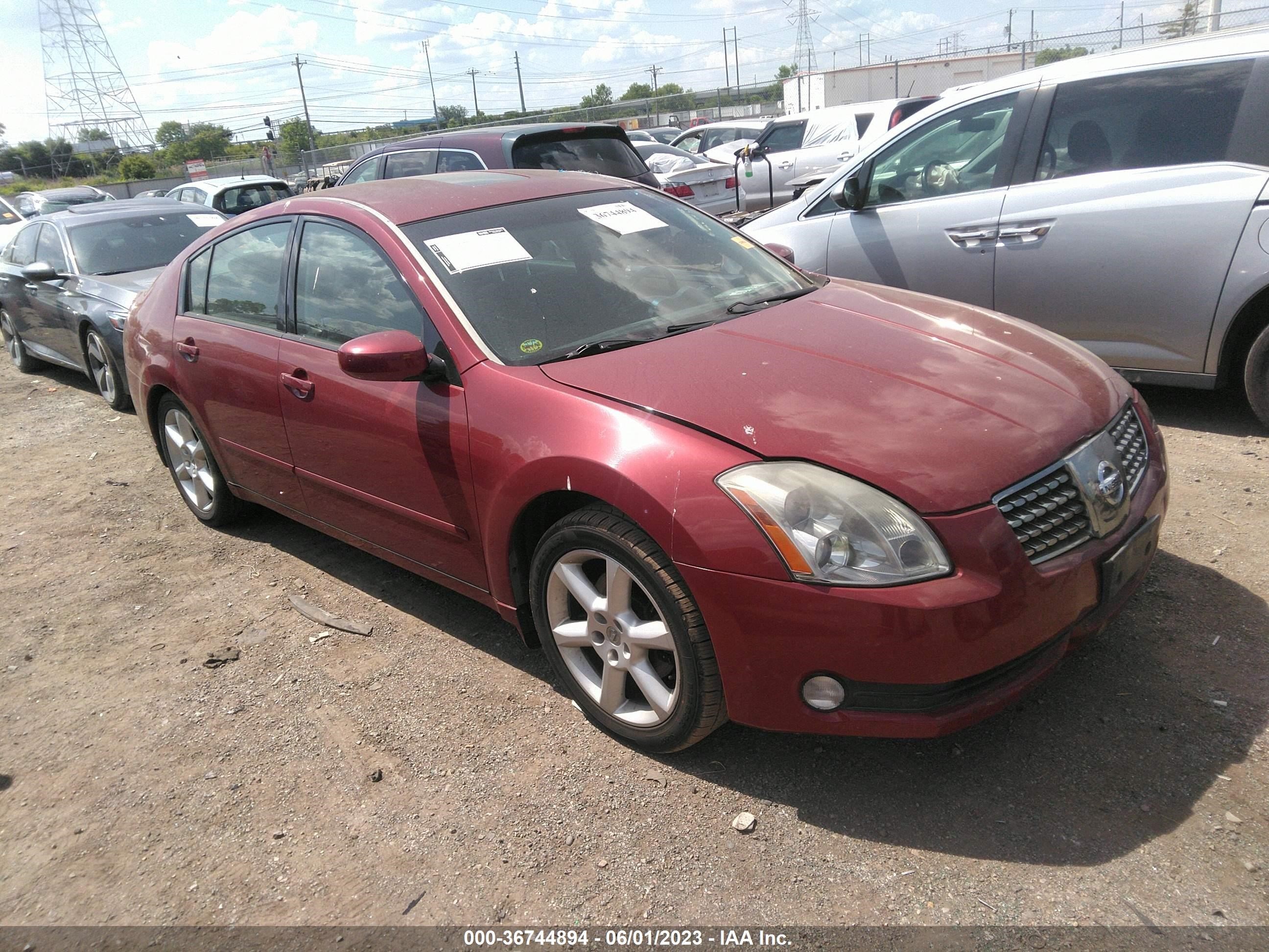 NISSAN MAXIMA 2006 1n4ba41e96c866056