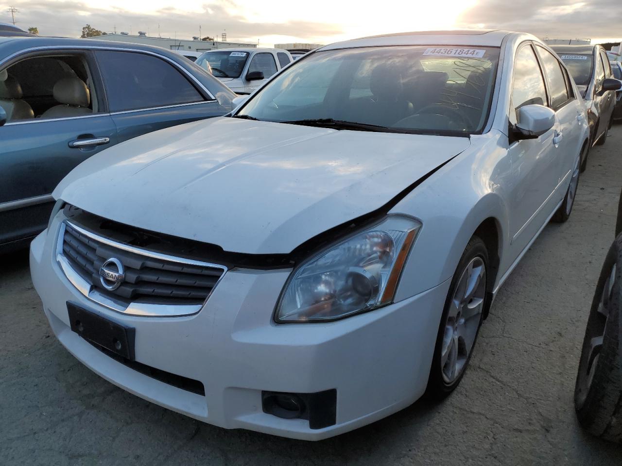 NISSAN MAXIMA 2007 1n4ba41e97c833754