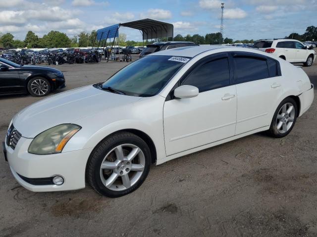 NISSAN MAXIMA SE 2004 1n4ba41ex4c835766