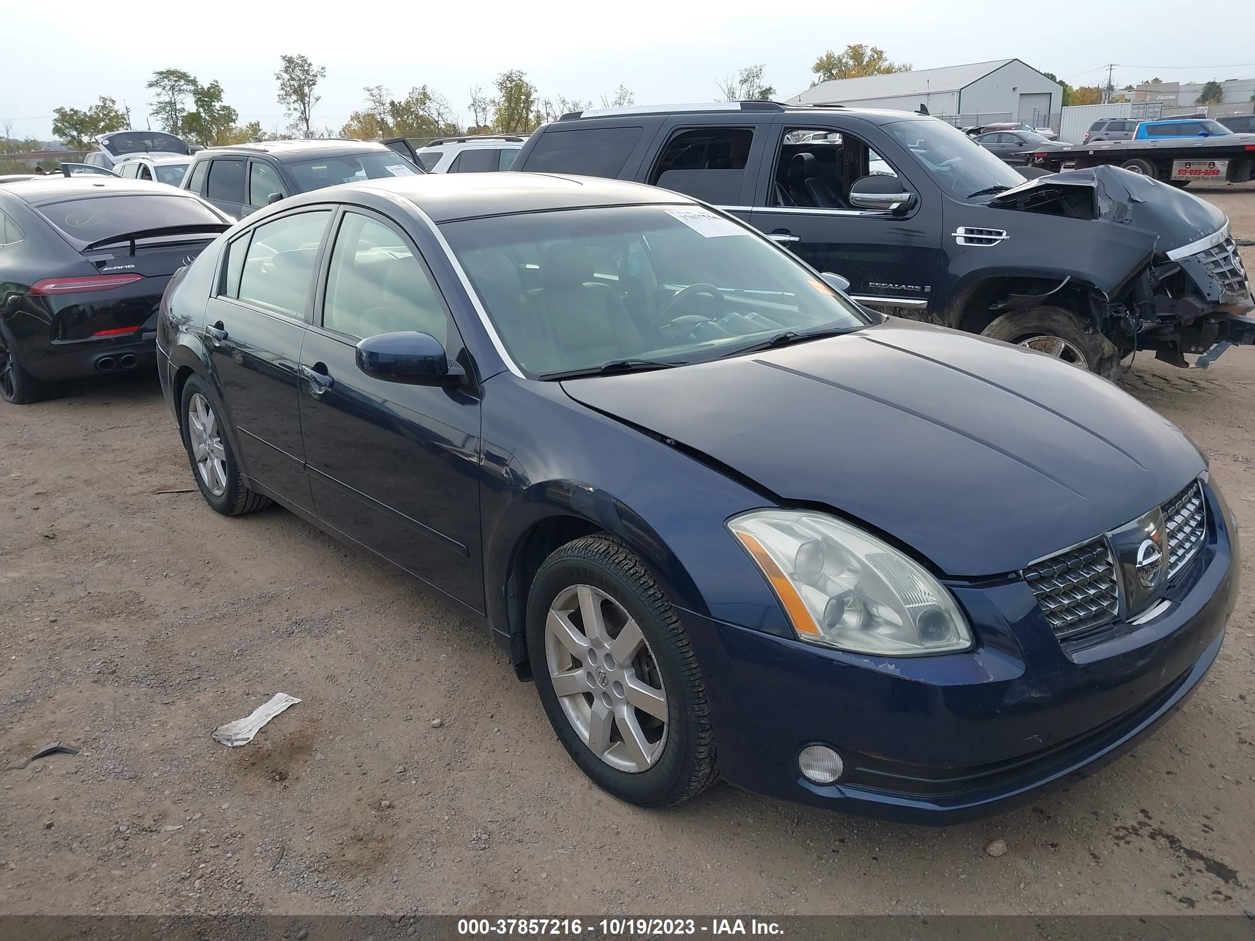 NISSAN MAXIMA 2004 1n4ba41ex4c838974