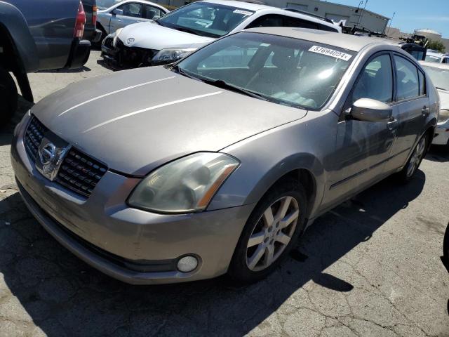 NISSAN MAXIMA 2004 1n4ba41ex4c863910