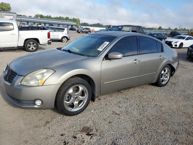 NISSAN MAXIMA SE 2004 1n4ba41ex4c875913