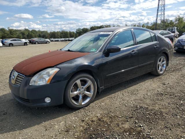 NISSAN MAXIMA SE 2004 1n4ba41ex4c891268