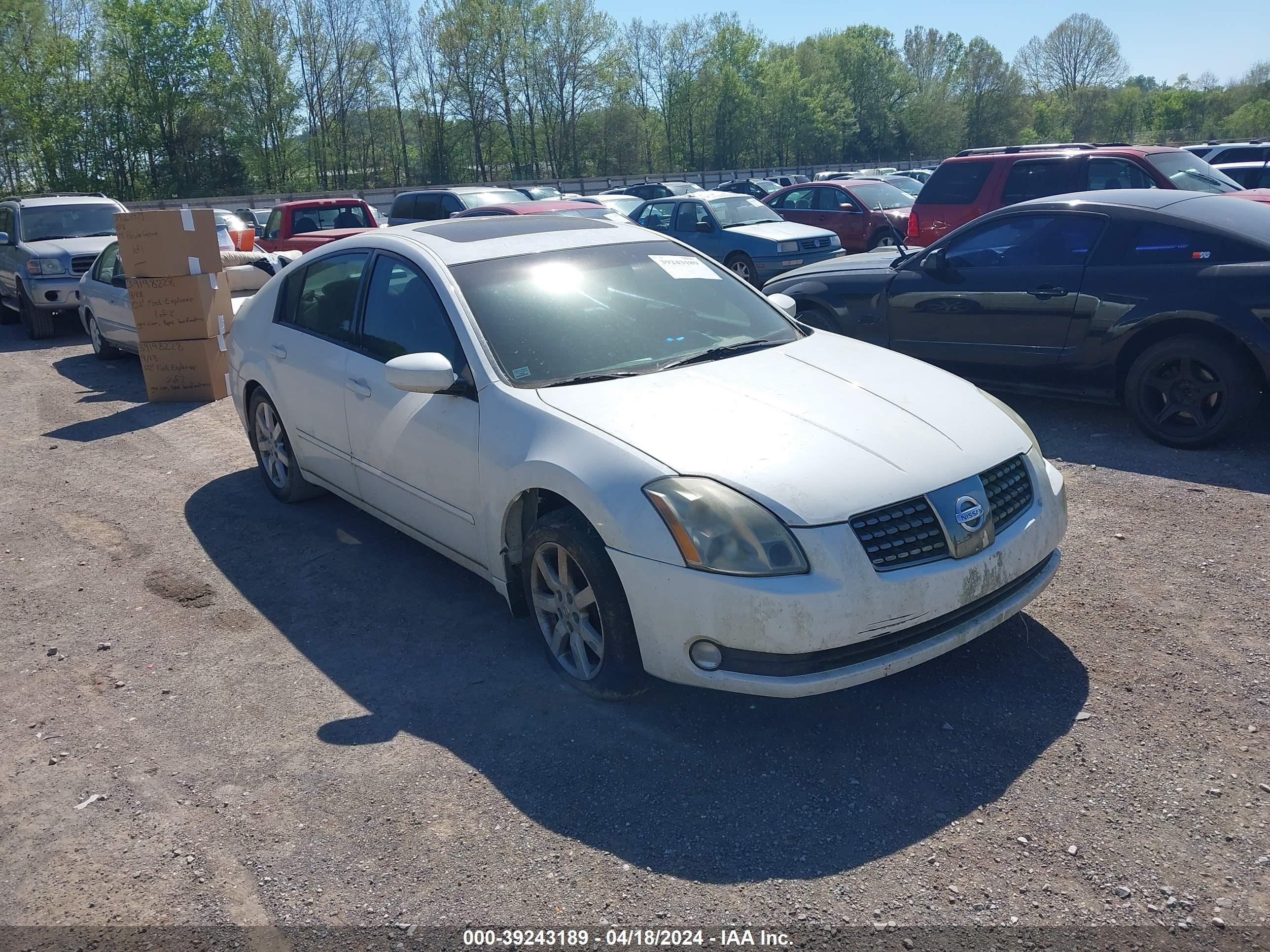 NISSAN MAXIMA 2004 1n4ba41ex4c906707