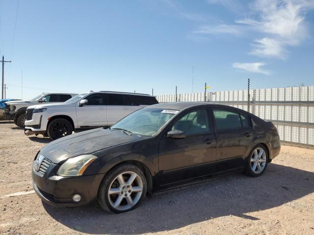 NISSAN MAXIMA SE 2005 1n4ba41ex5c818922