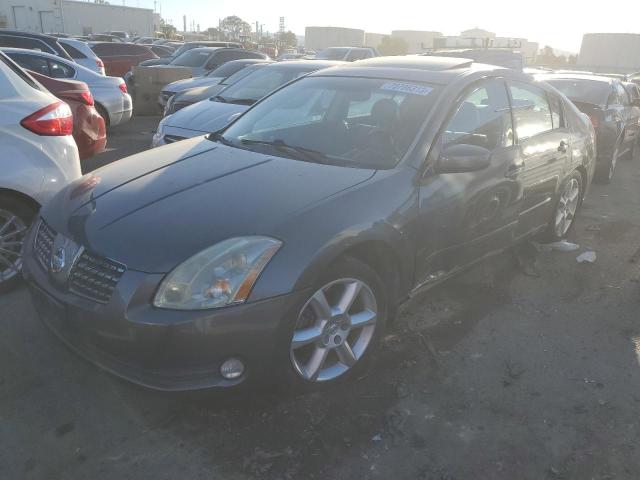 NISSAN MAXIMA 2005 1n4ba41ex5c822503