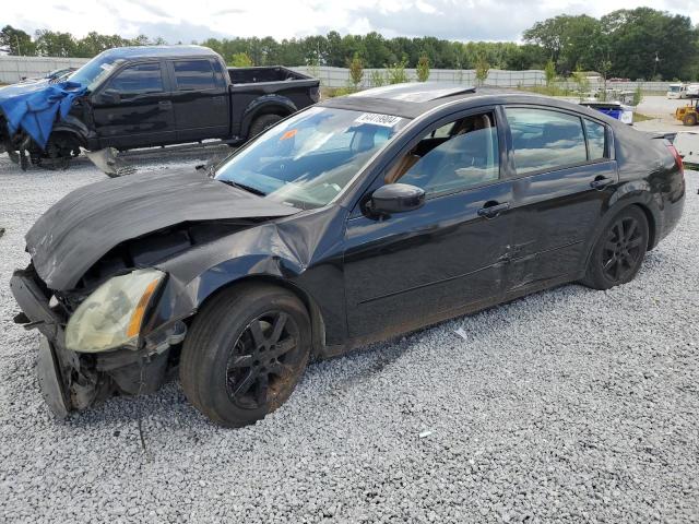 NISSAN MAXIMA 2005 1n4ba41ex5c826518