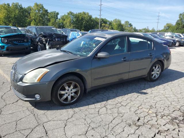 NISSAN MAXIMA SE 2005 1n4ba41ex5c827295