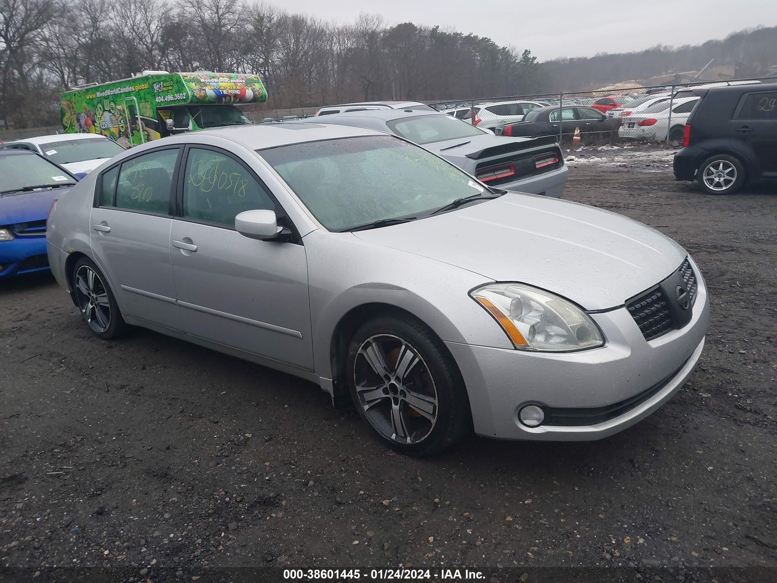 NISSAN MAXIMA 2005 1n4ba41ex5c828723