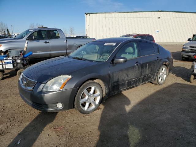 NISSAN MAXIMA 2005 1n4ba41ex5c869448