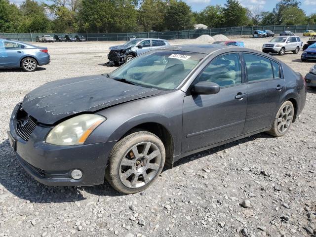 NISSAN MAXIMA SE 2006 1n4ba41ex6c842106