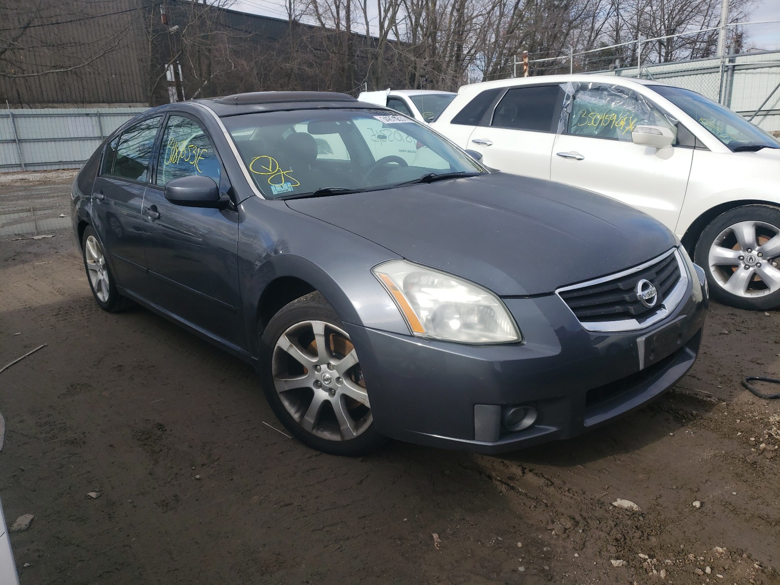 NISSAN MAXIMA SE 2007 1n4ba41ex7c865189