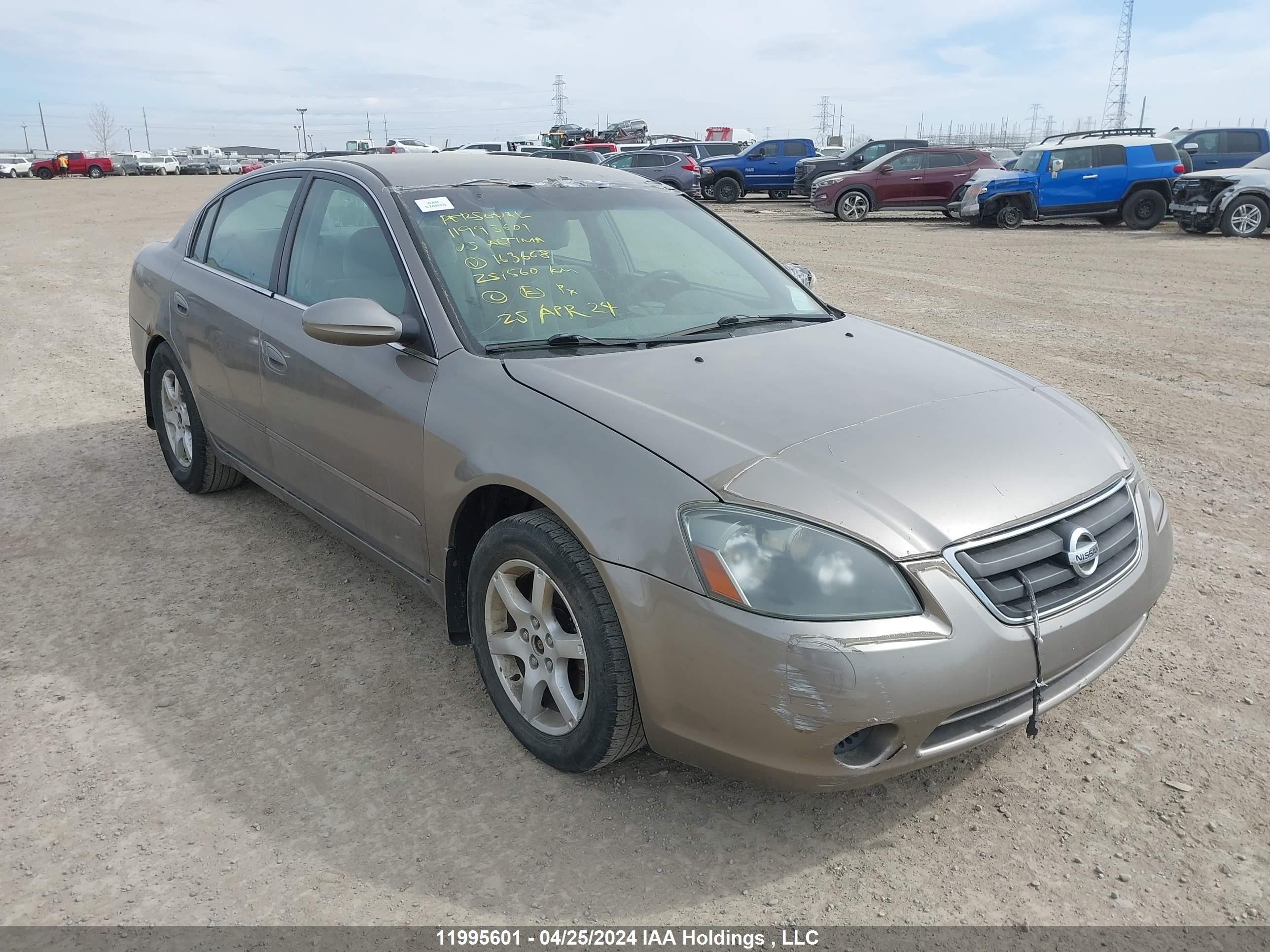 NISSAN ALTIMA 2005 1n4bl11d05c163668