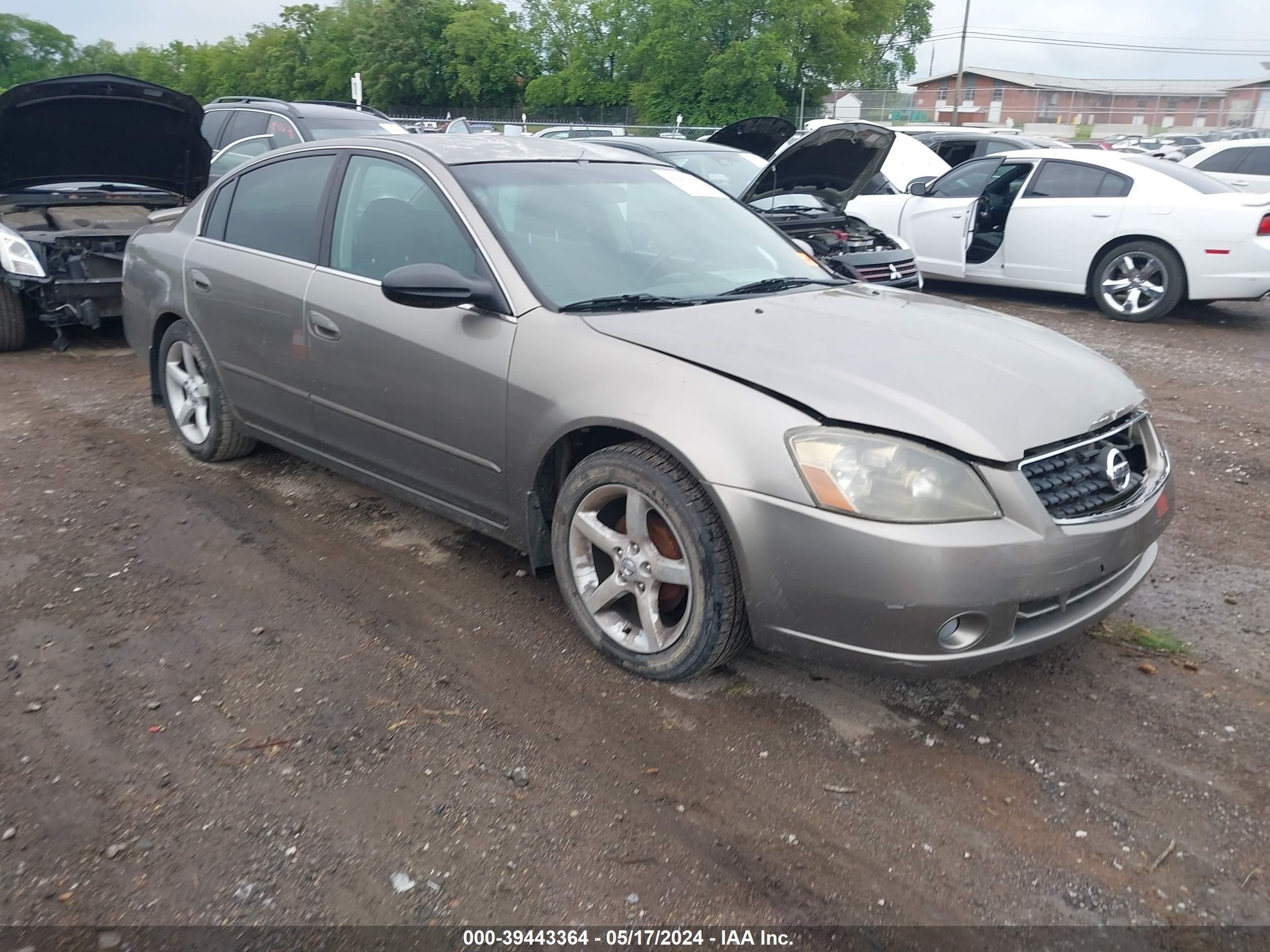 NISSAN ALTIMA 2006 1n4bl11d16c140725