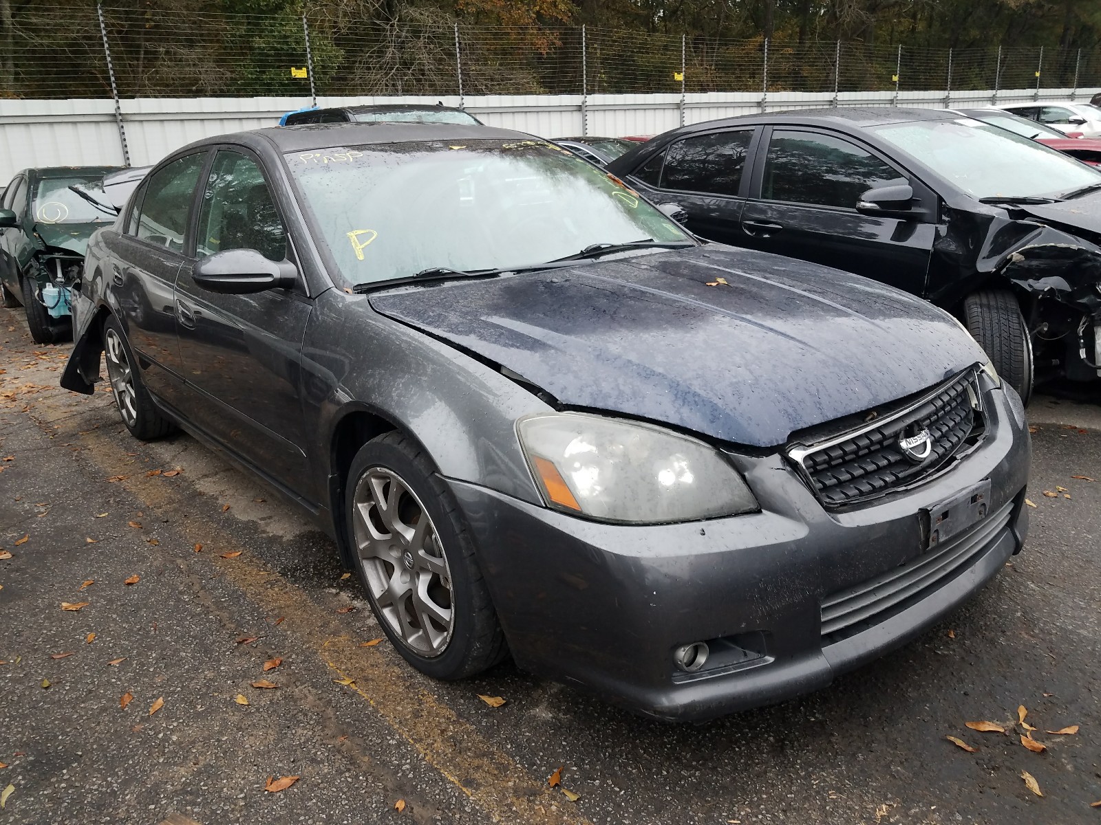 NISSAN ALTIMA SE 2006 1n4bl11d16c245412