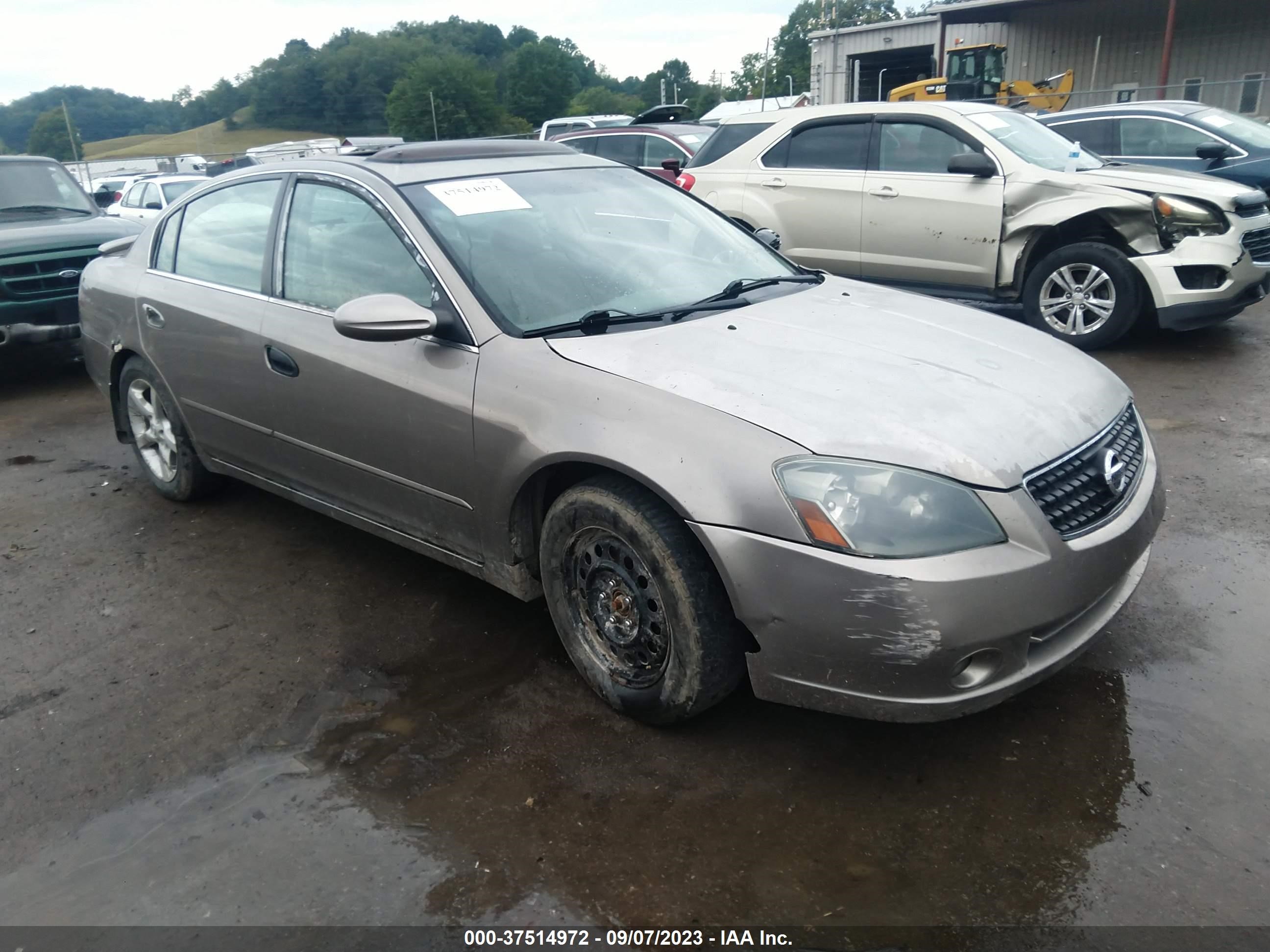 NISSAN ALTIMA 2005 1n4bl11d35c102542