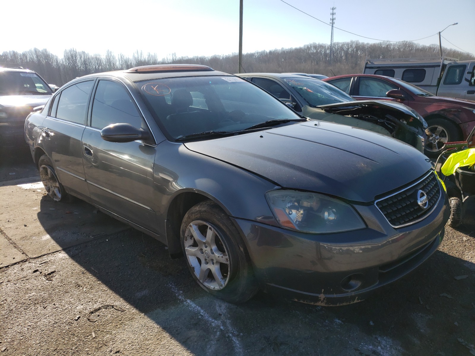 NISSAN ALTIMA SE 2005 1n4bl11d45c189867