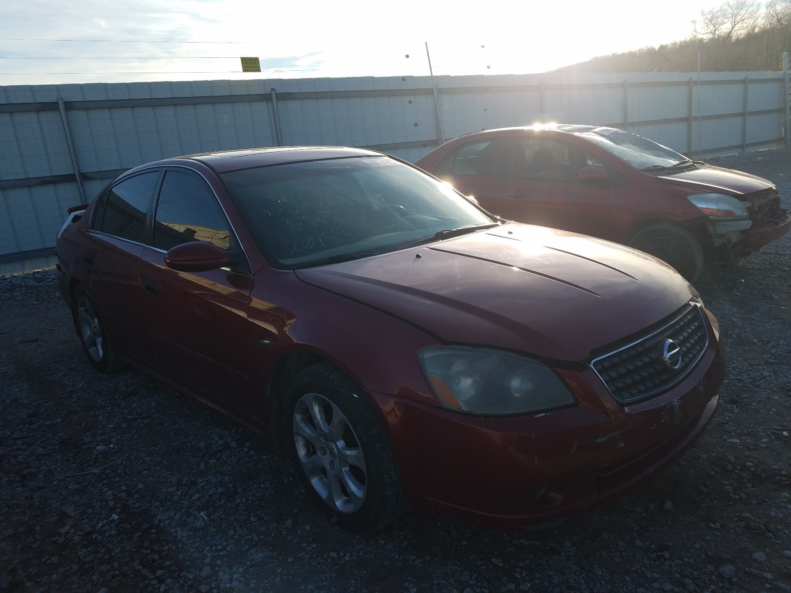 NISSAN ALTIMA SE 2005 1n4bl11d55c201394