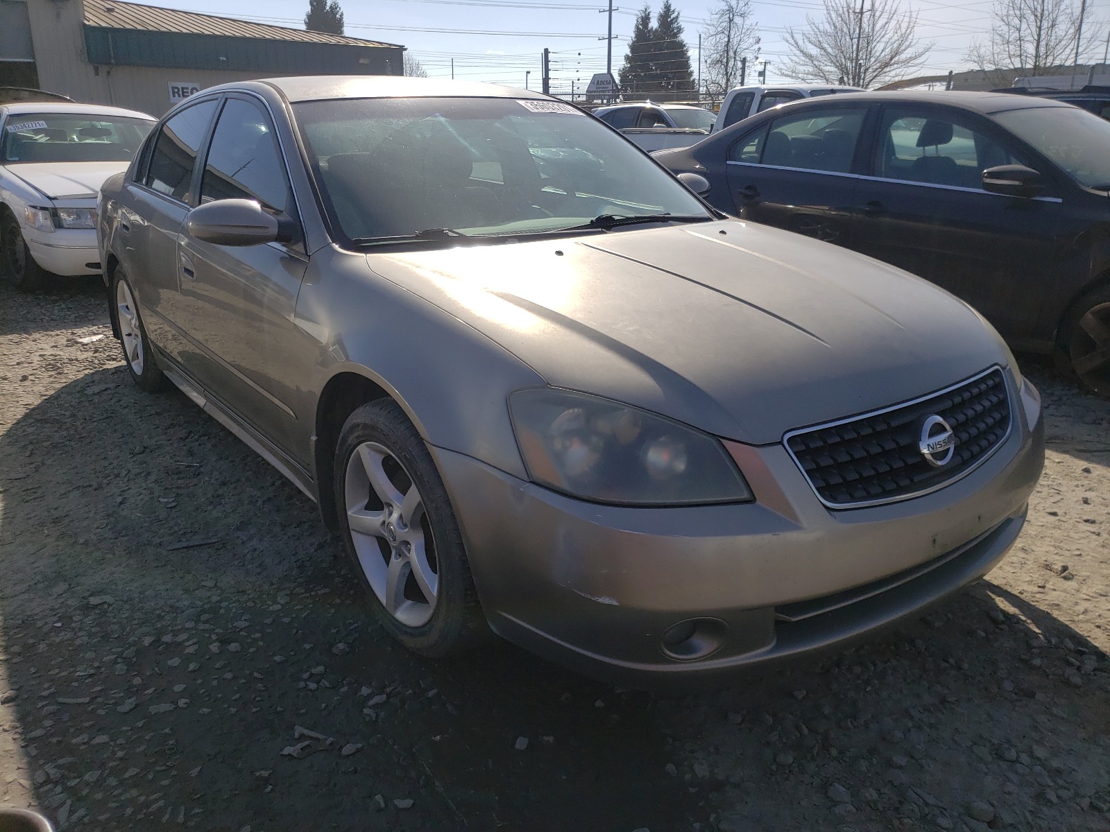 NISSAN ALTIMA 2006 1n4bl11d96n339204