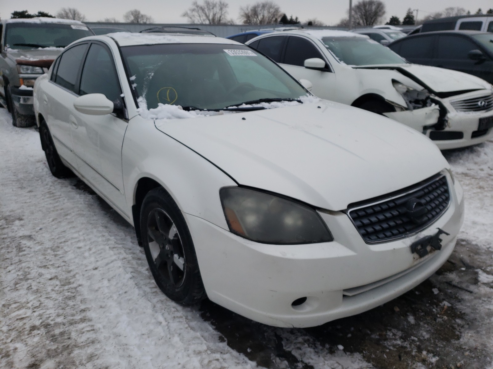 NISSAN ALTIMA SE 2005 1n4bl11e15c375200