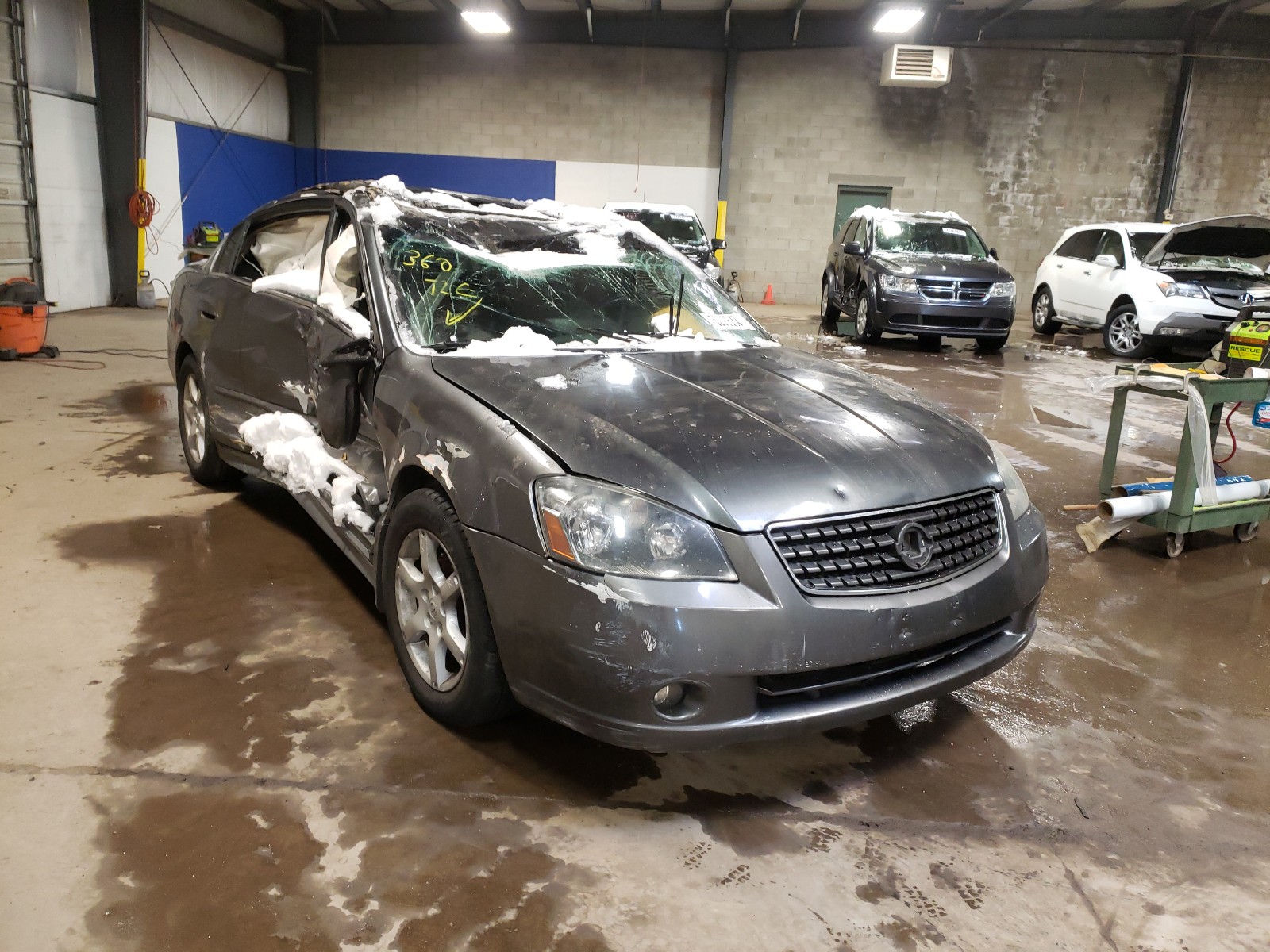 NISSAN ALTIMA 2006 1n4bl11e26n339084