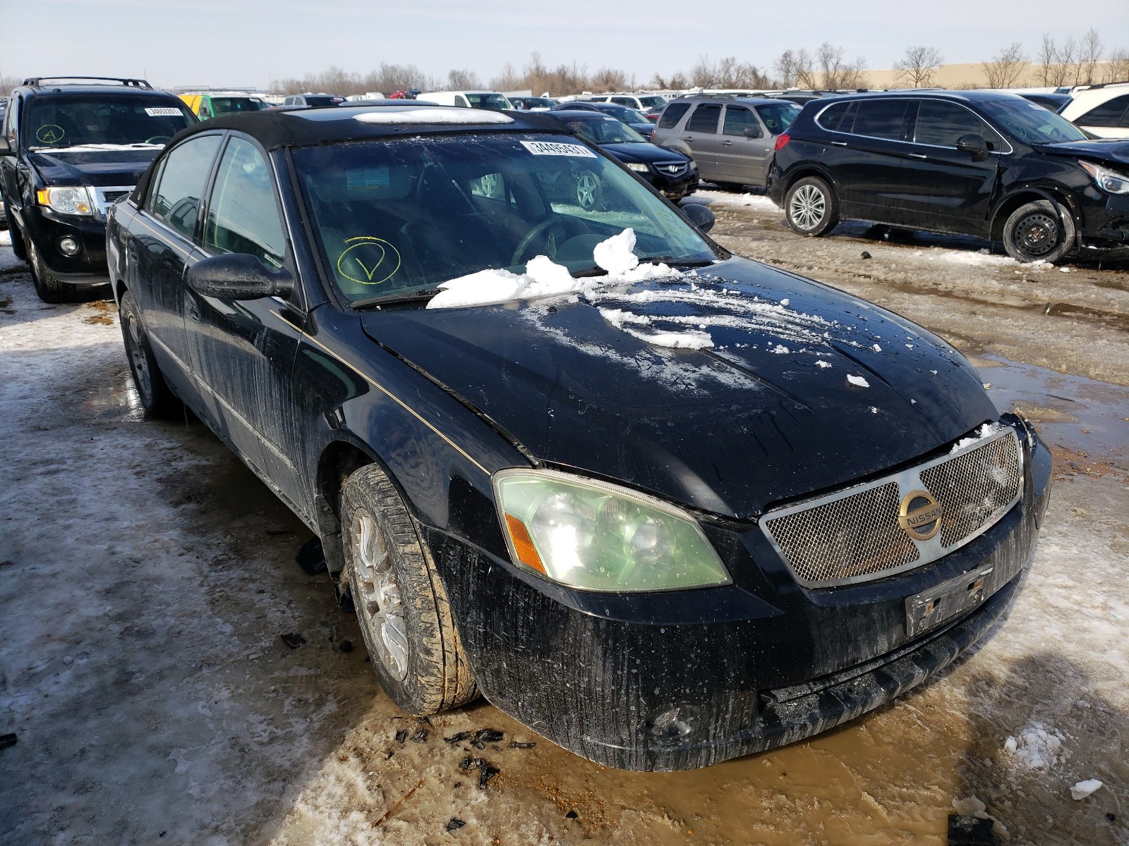 NISSAN ALTIMA SE 2005 1n4bl11e45c379094