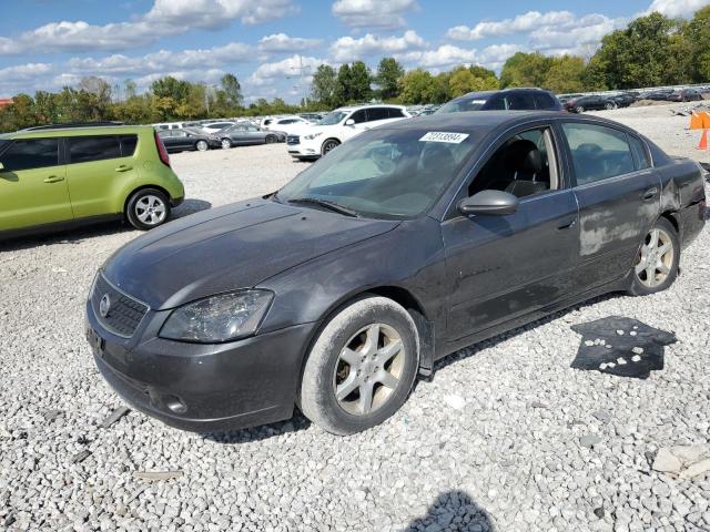 NISSAN ALTIMA SE 2006 1n4bl11e76c232236