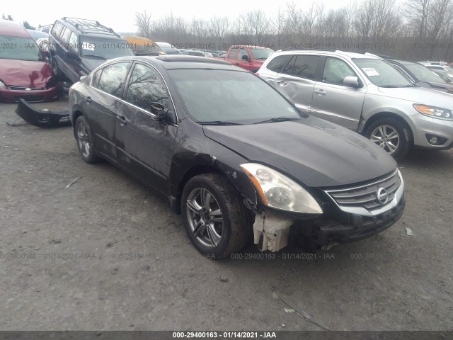 NISSAN ALTIMA 2010 1n4bl2ap2an546929