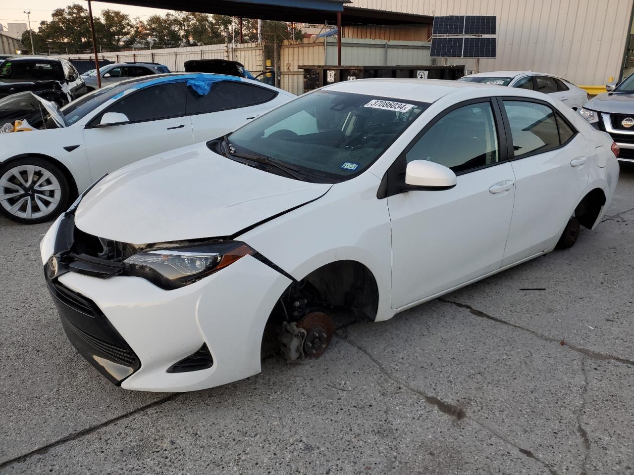 TOYOTA COROLLA 2019 1n4bl4bv4nn309230