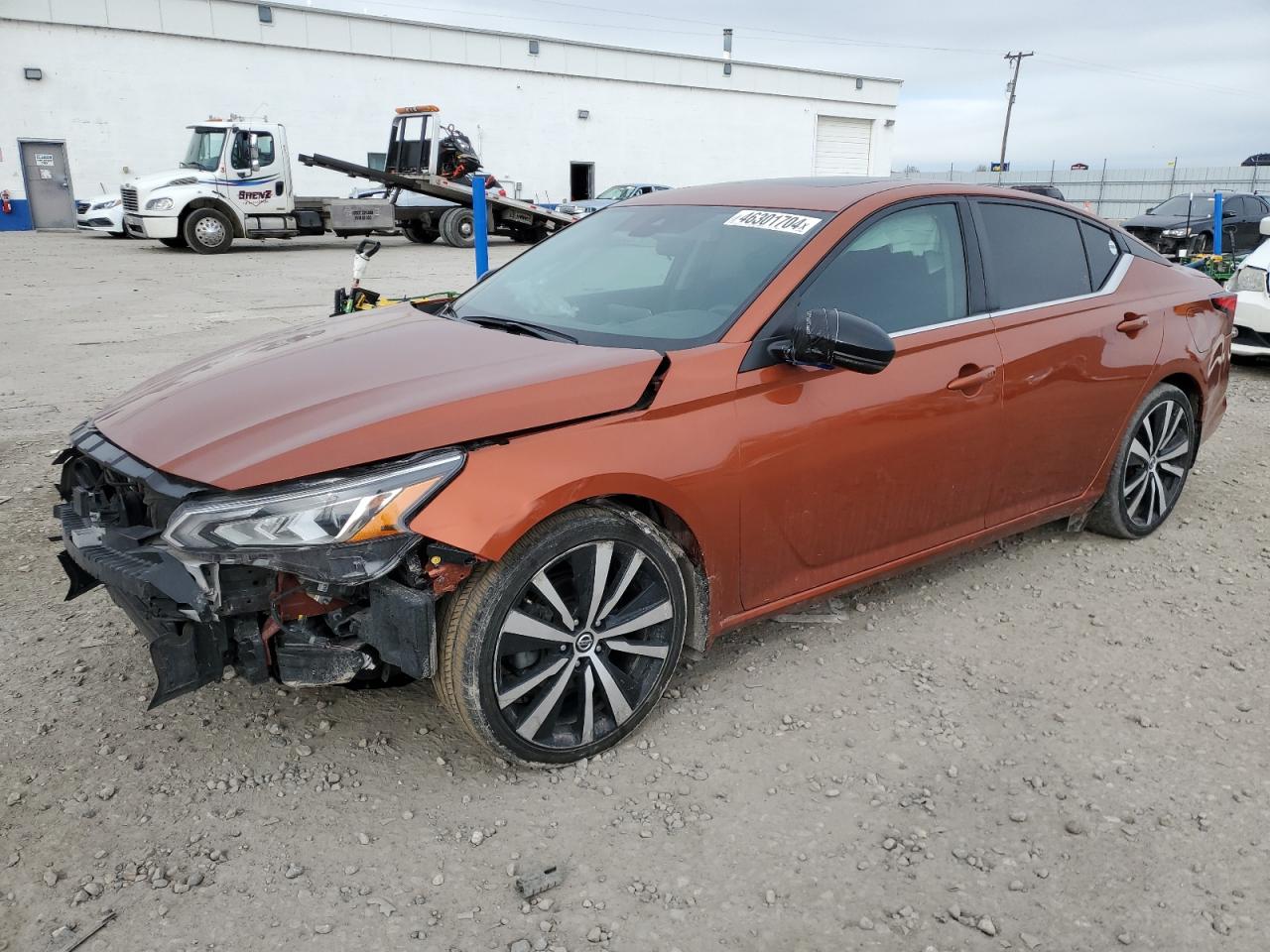 NISSAN ALTIMA 2020 1n4bl4cvxlc115888