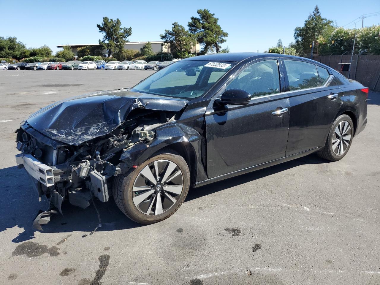 NISSAN ALTIMA 2019 1n4bl4dv1kc125125