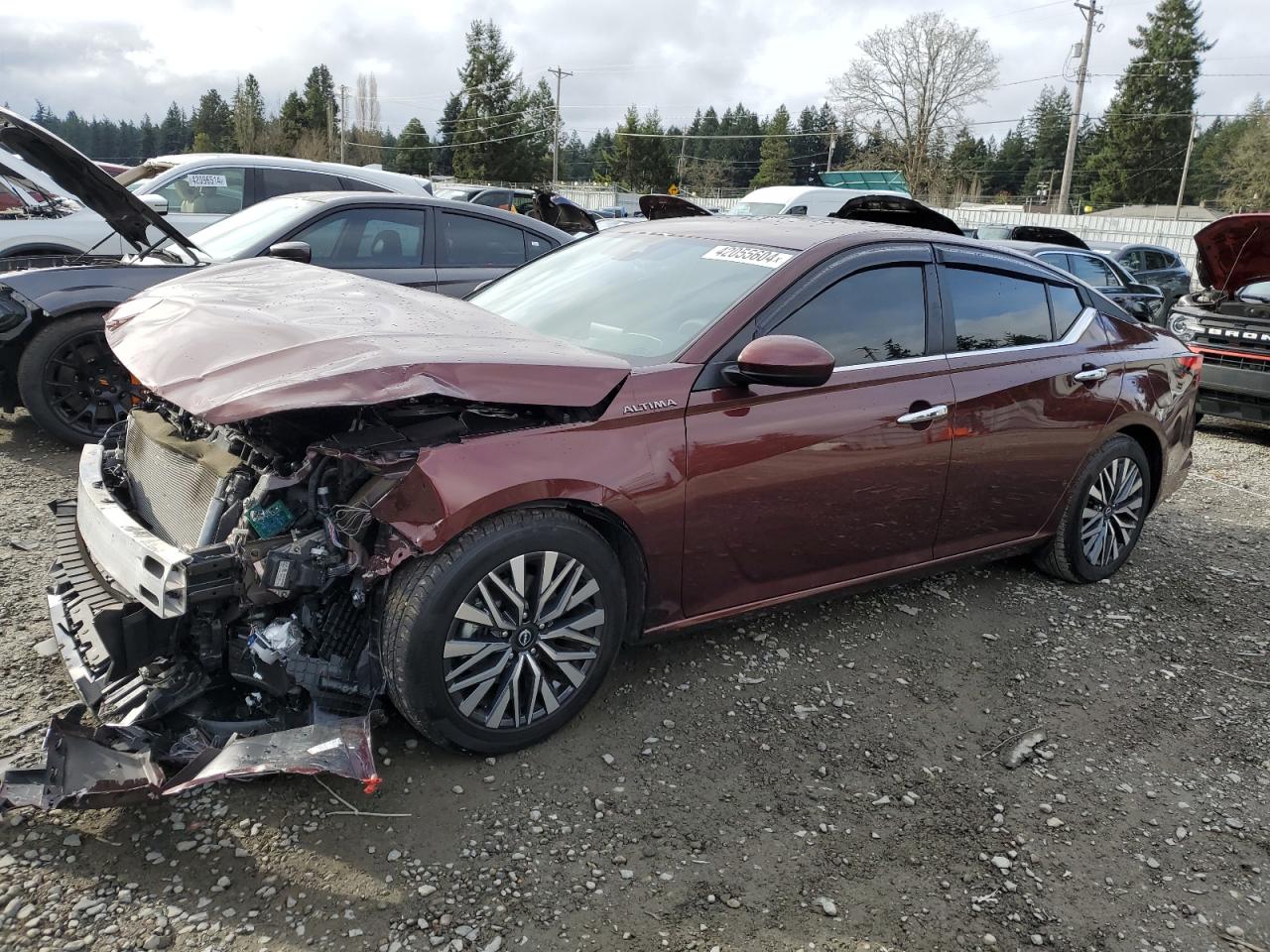 NISSAN ALTIMA 2023 1n4bl4dvxpn311161