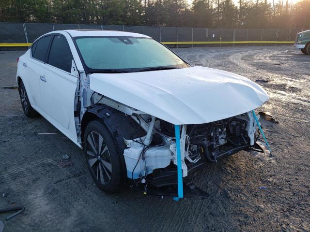 NISSAN ALTIMA SV 2019 1n4bl4dw4kn302778