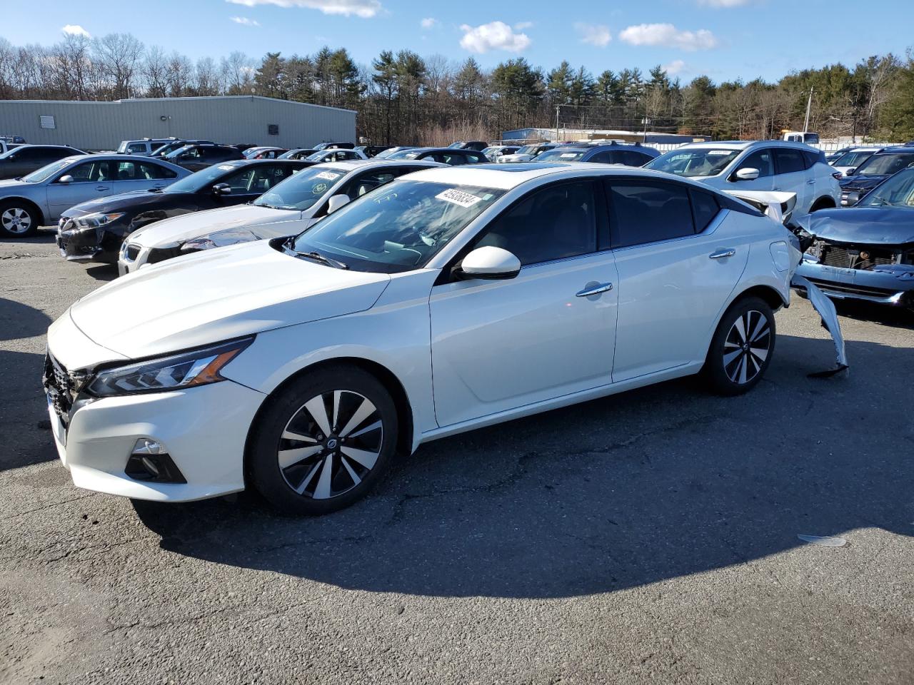 NISSAN ALTIMA 2019 1n4bl4dw8kc133635