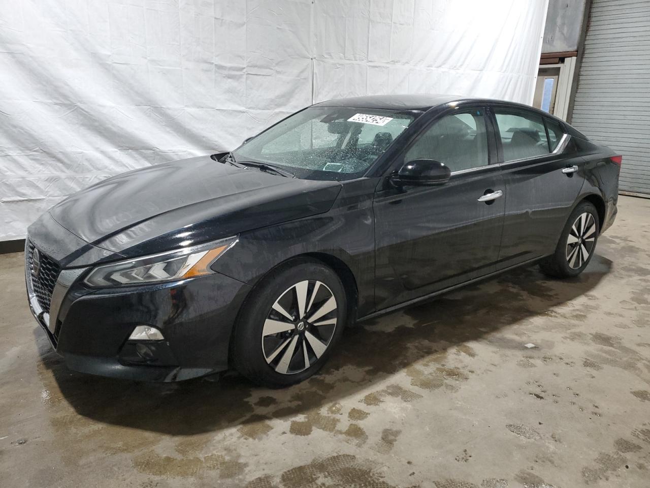 NISSAN ALTIMA 2019 1n4bl4ev4kc113923