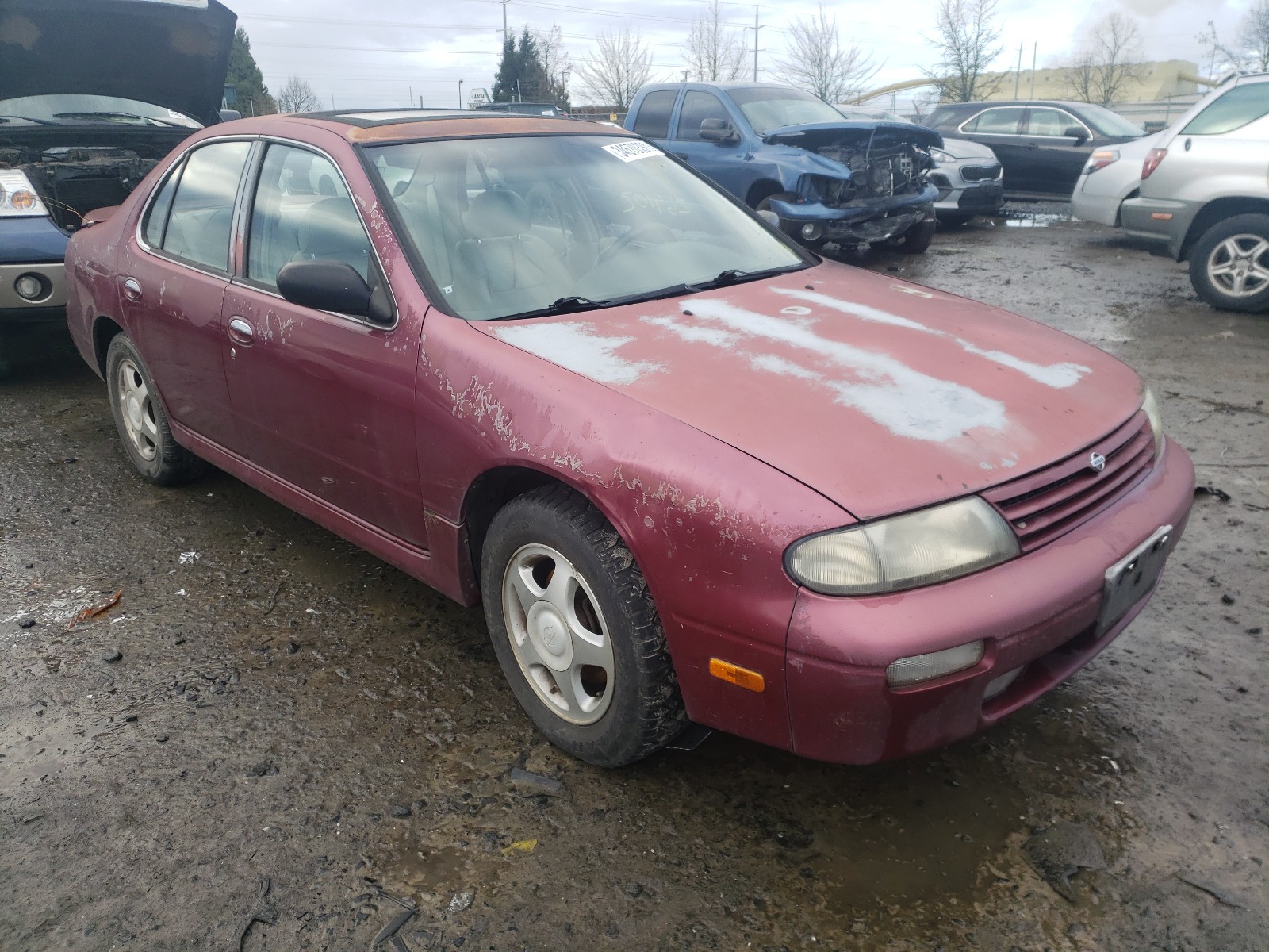 NISSAN ALTIMA XE 1995 1n4bu31dxsc117091