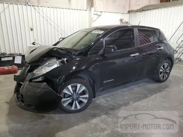 NISSAN LEAF 2016 1n4bz0cp0gc310428