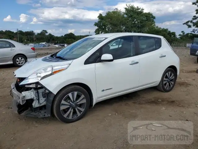 NISSAN LEAF 2016 1n4bz0cp4gc313428