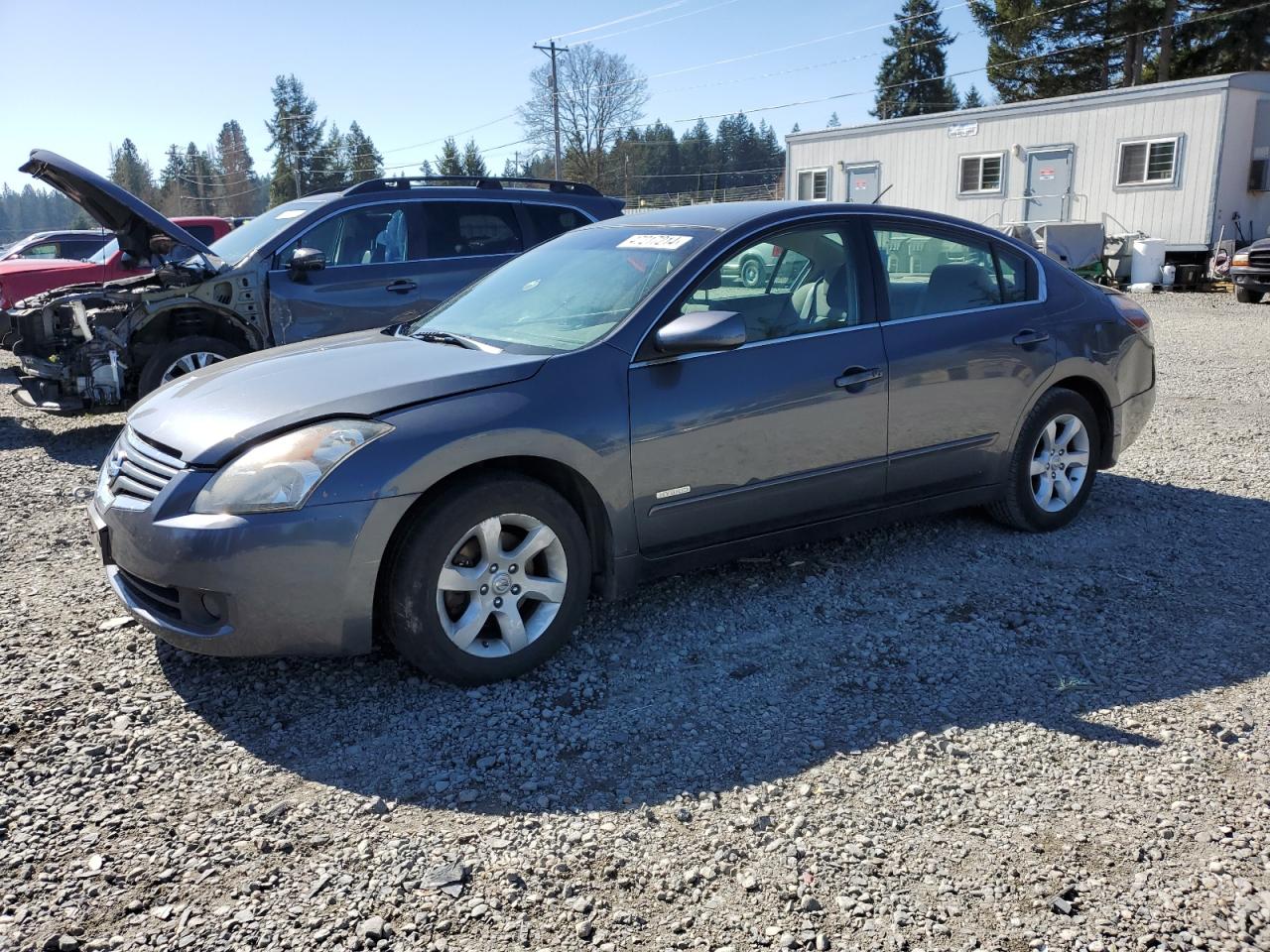 NISSAN ALTIMA 2007 1n4cl21e47c212439