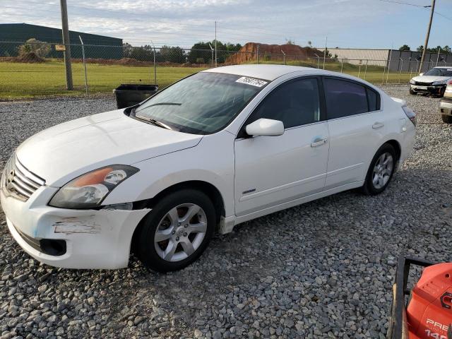 NISSAN ALTIMA HYB 2007 1n4cl21e57c209369