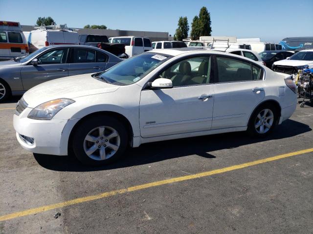 NISSAN ALTIMA HYB 2008 1n4cl21e78c209861