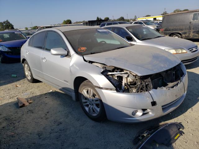 NISSAN ALTIMA HYB 2010 1n4cl2ap0ac110435