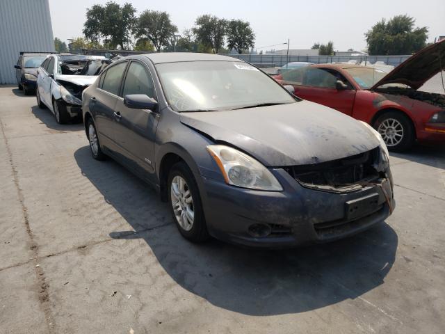 NISSAN ALTIMA HYB 2010 1n4cl2ap0ac111312