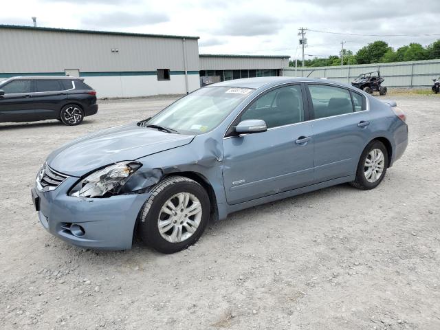 NISSAN ALTIMA HYB 2010 1n4cl2ap0ac118583