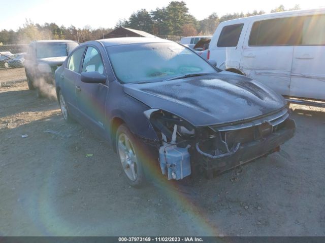 NISSAN ALTIMA HYBRID 2010 1n4cl2ap0ac119538