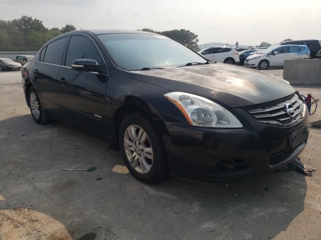 NISSAN ALTIMA HYB 2010 1n4cl2ap0ac155228