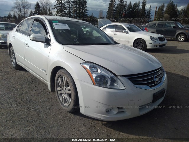 NISSAN ALTIMA 2010 1n4cl2ap0ac156301