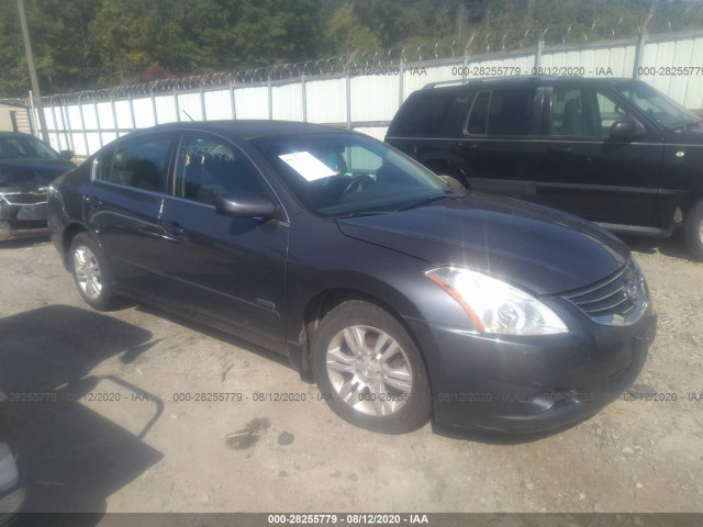 NISSAN ALTIMA 2010 1n4cl2ap0ac175737